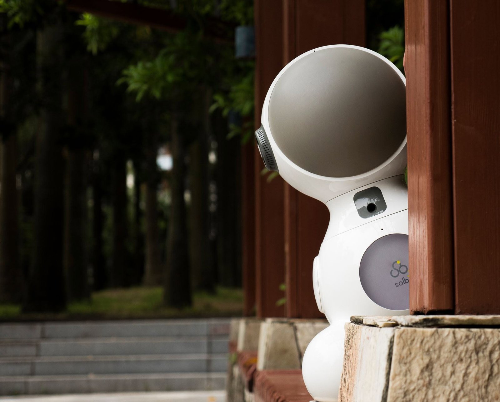 Solbit peeking around a wooden pillar